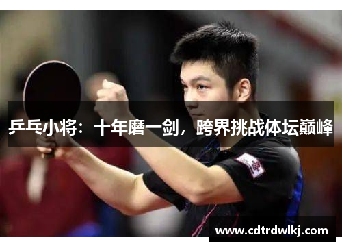 乒乓小将：十年磨一剑，跨界挑战体坛巅峰