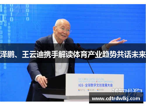 泽鹏、王云迪携手解读体育产业趋势共话未来